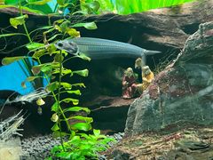 -太平洋海底世界