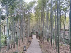 -杭州黄龙洞