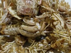 -宾朋海鲜特色美食餐厅·纯手工鲅鱼水饺(兴海路店)