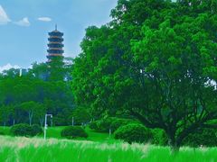 -红花山公园