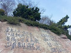 -棒棰岛宾馆景区