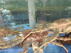 -新河畔海鲜酒楼(虎门店)