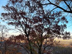 -北京西山国家森林公园