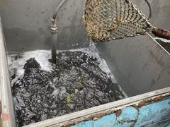 -姥家大锅台水库渔家