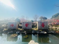 -香雪海