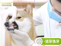 -美联众合24小时·皮肤科·外科·全科诊疗中心(华苑分院)