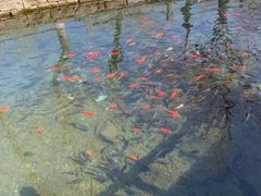-水磨沟公园
