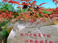 -广州市帽峰山景区