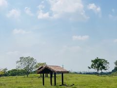 -良渚古城遗址公园