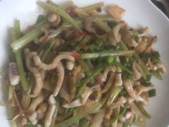 -天鹅到家·保姆月嫂育儿嫂(天河店)