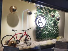 -813芭依珊 BAESAn(汇港购物中心店)