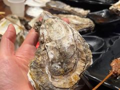 -烧蠔帮·生蚝海鲜牌档(观海店)