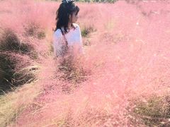 -映月湖中央公园