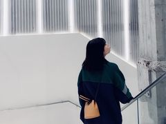 -ZARA(大上海时代广场店)
