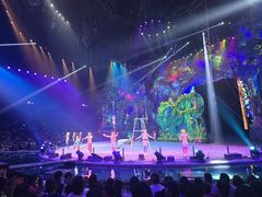 -广州长隆国际大马戏