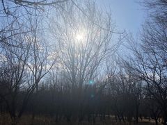 -廊坊市自然公园