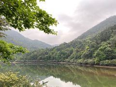 -广州市石门国家森林公园