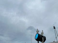 -海驴岛(荣成市)