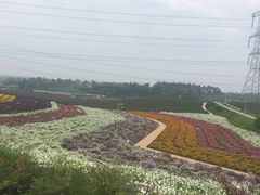 -紫颐香薰山谷景区