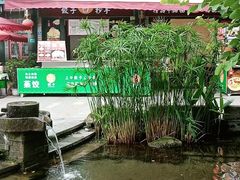 -三道苗苗鱼(三道堰老字号店)
