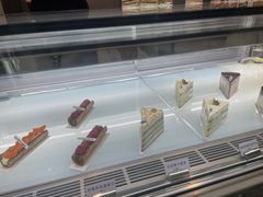 -TD66高山铁皮石斛养生茶饮
