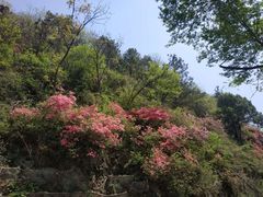 -木兰云雾山