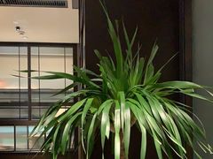 -徐记海鲜(观沙岭|滨江新城店)