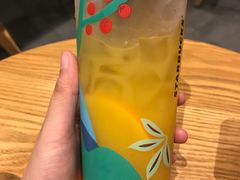 -MR鹅外