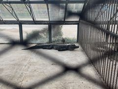 -秦皇岛野生动物园