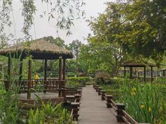 -成飞公园