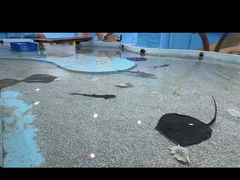 -台州海洋世界