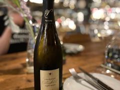 -Wine Universe 宇宙酒馆