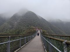 -娄山关景区
