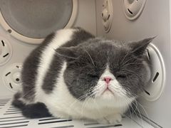 -FAELING PETS美天灵宠物(富力广场店)