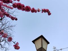 -三里河公园