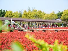 -广东花都香草世界旅游度假区