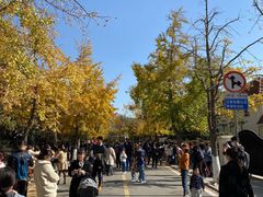 -八大关景区