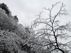 -洛阳白云山景区