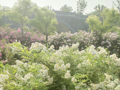 -尚贤河湿地