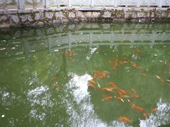 -南岳衡山风景名胜区-南岳大庙