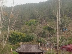 -楠柏弯休闲山庄(梨花溪店)