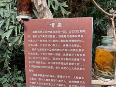 -呀路古热带植物园