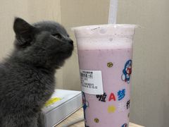 -学姐家酸奶铺(江大店)