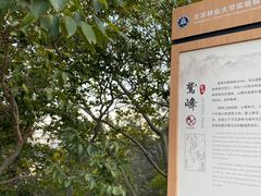 -北京鹫峰国家森林公园