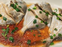 -舌尖上·霞浦滩涂海鲜·新闽菜(总店)