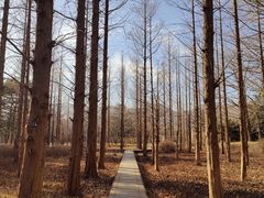 -国家植物园南园