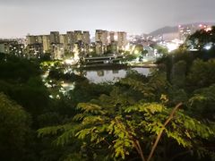 -飞凤山奥体公园