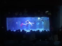 -台州海洋世界