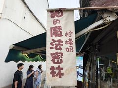 -猫的魔法密林(衣裳街店)