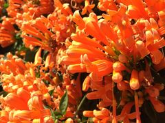 -聪辉同安老美食饭店(大元路店)